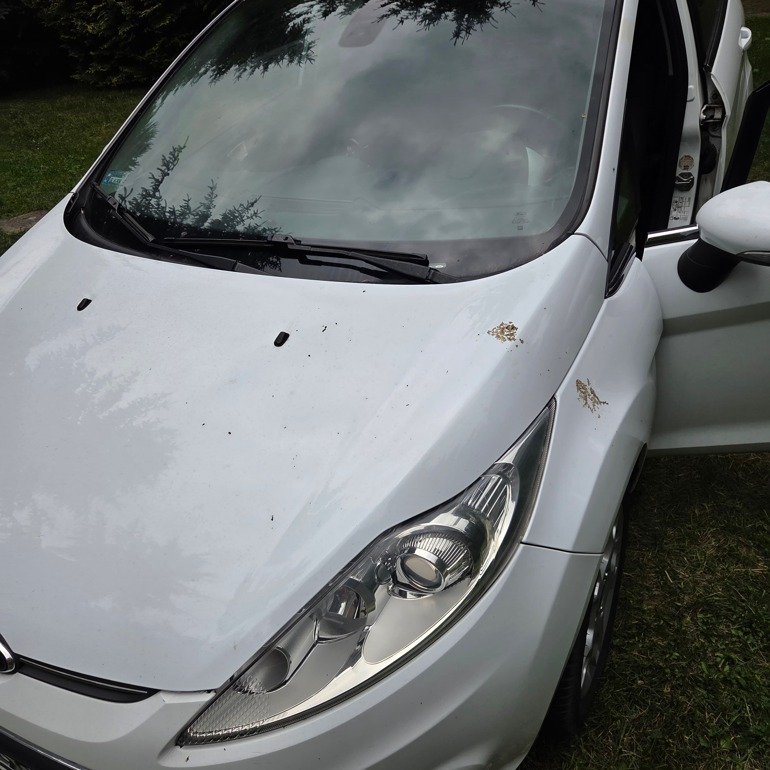 exterior-cleaning-1