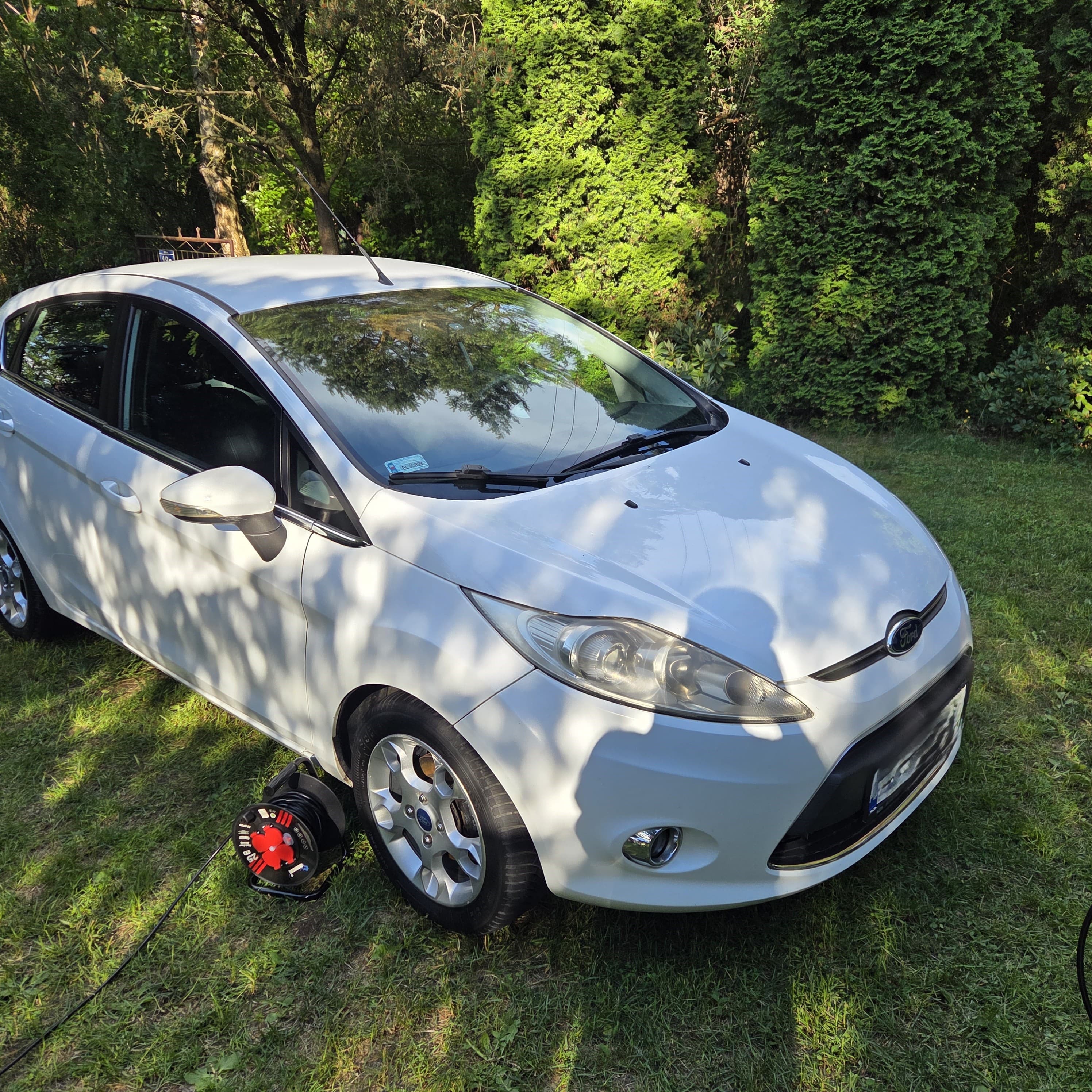 Ford fiesta realization