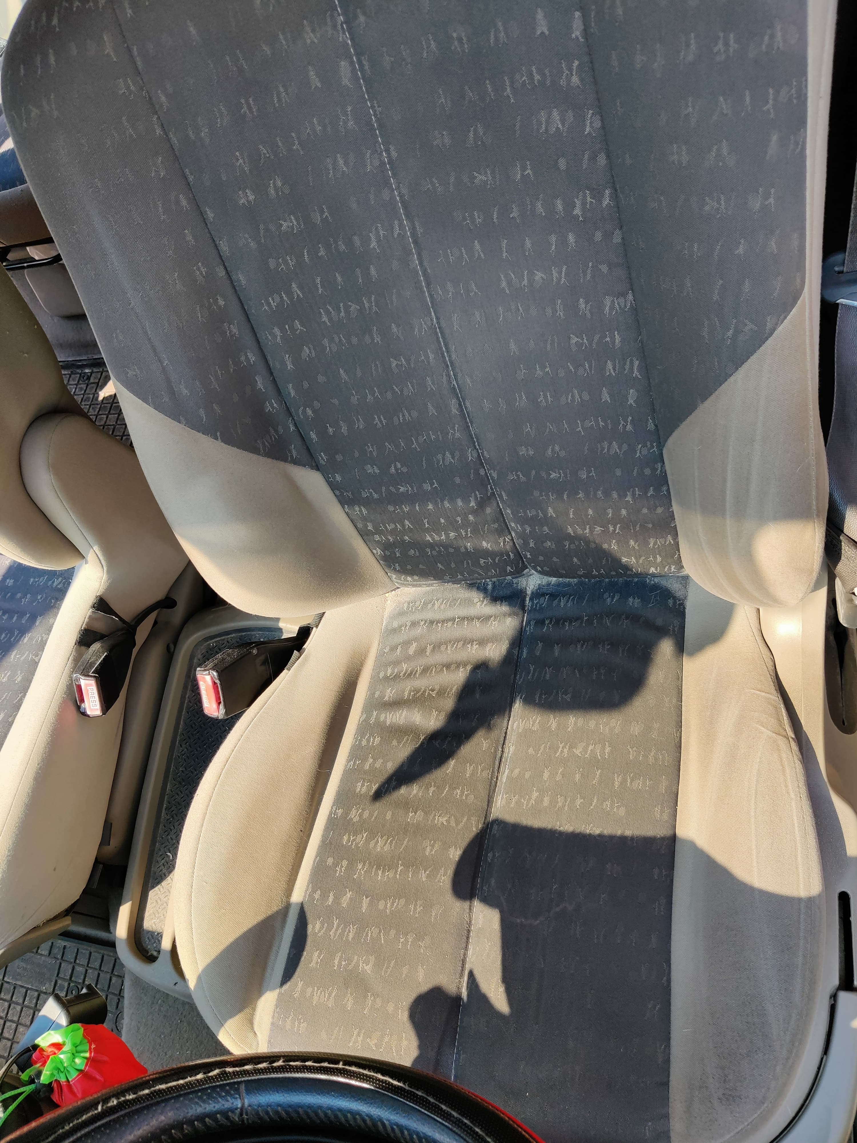 Renault Scenic realization